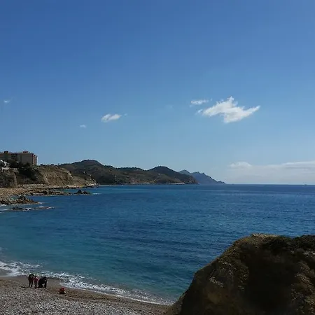 Palasiet